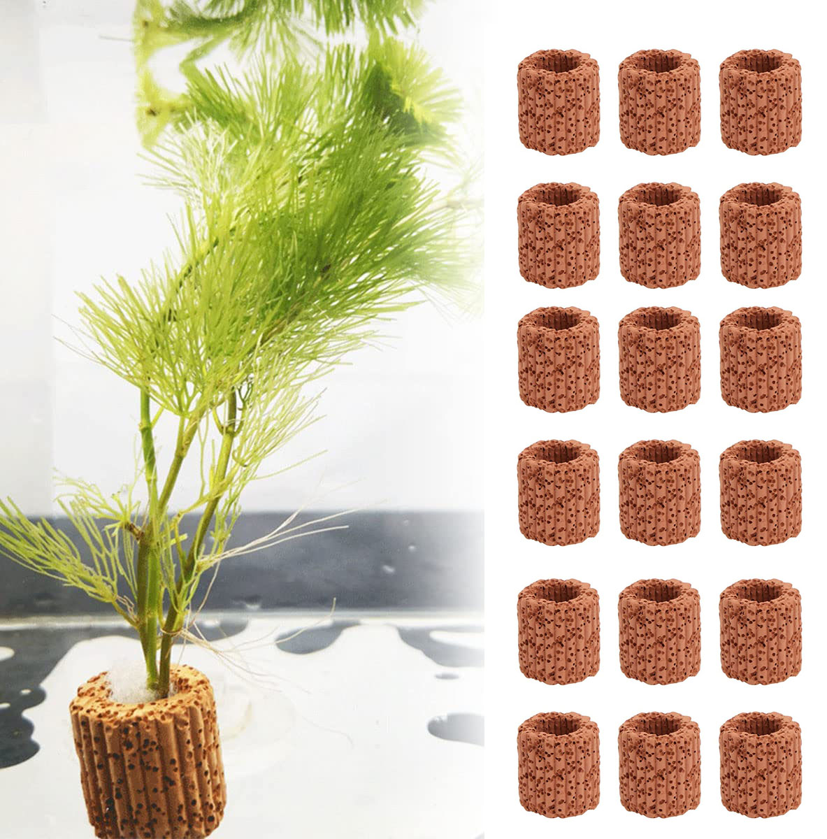 Marine Aquarium Hobby - 10/20Pcs Base ad anello fisso per