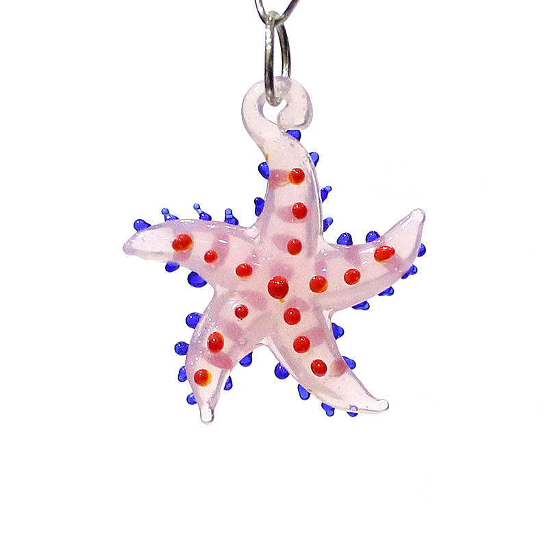 Marine Aquarium & Regional Centre - Animali marini carini, fascino delle stelle