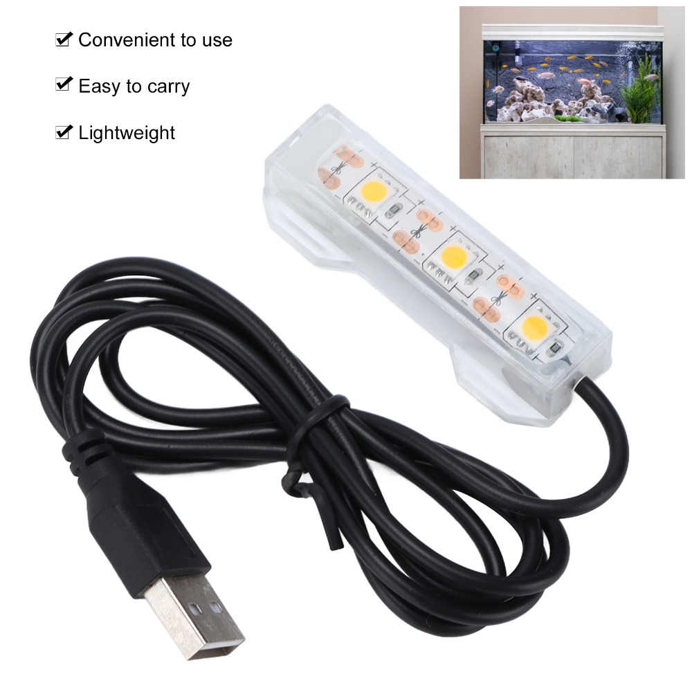 Illuminazione decorativa Luce  - Aquarium Marine Lights recensione e prezzo