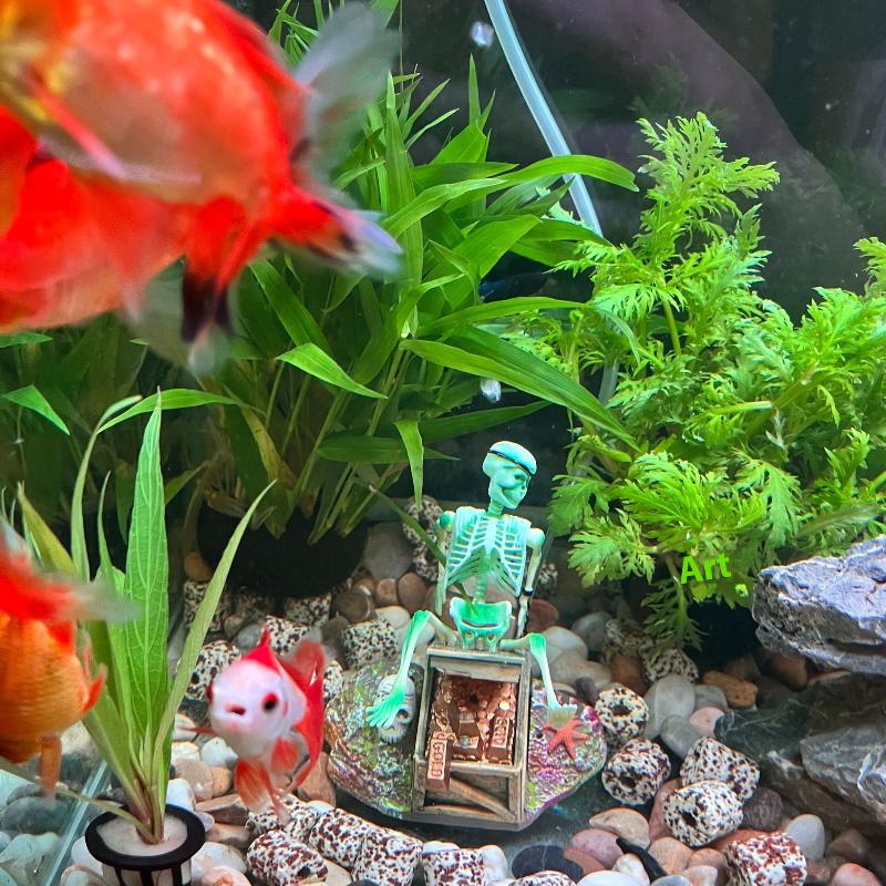 Acquario Aerobico Paesaggio Bu - Marine Aquarium Hobby recensione e prezzo