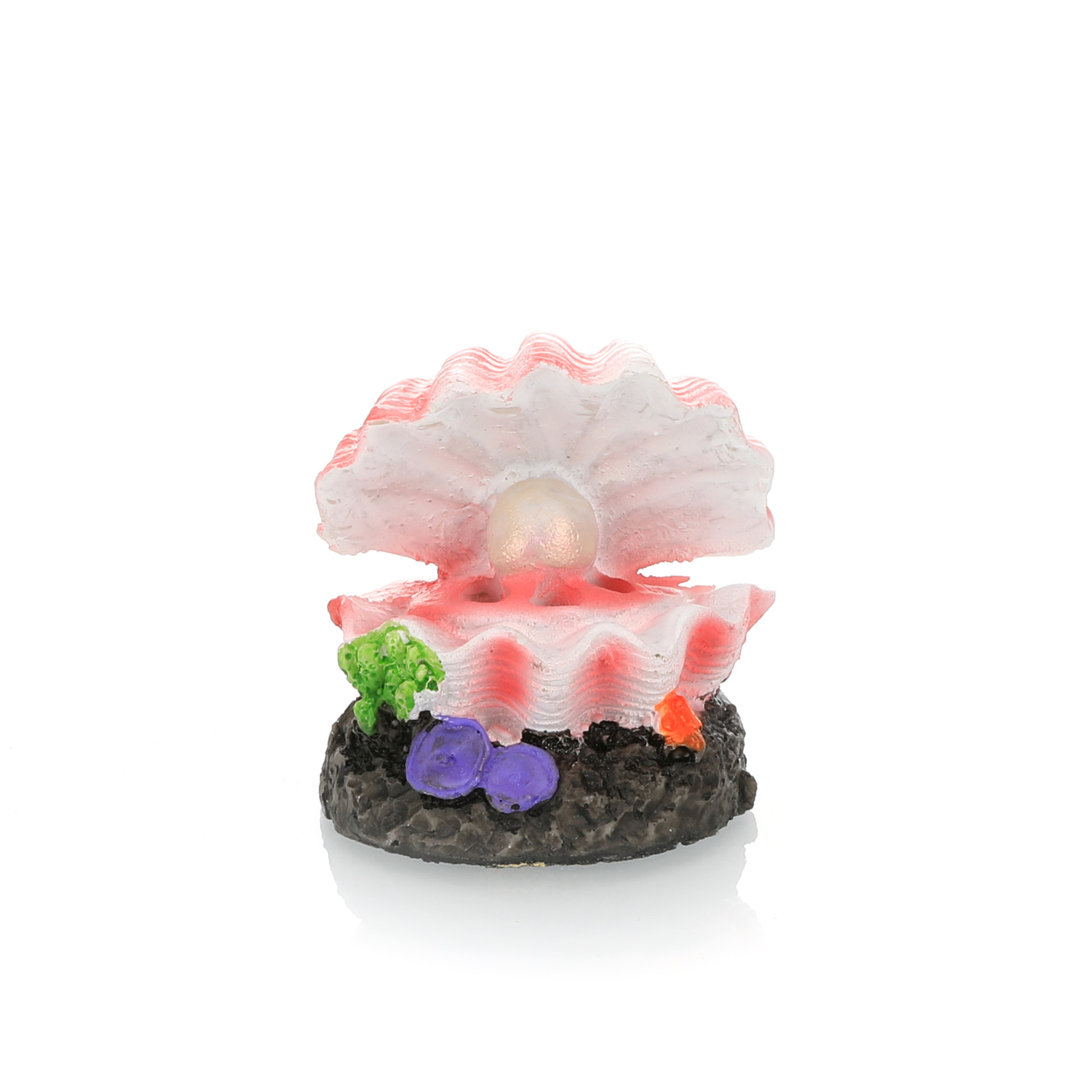 Simulazione paesaggistica per  - Marine Aquarium Hobby recensione e prezzo