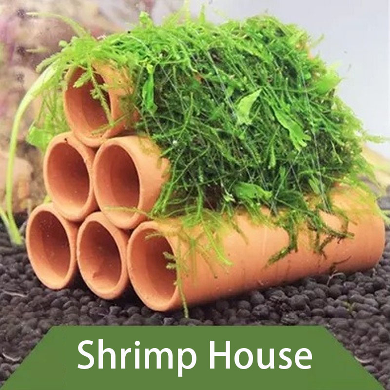 Decorazione per acquario in ar - Marine Aquarium Hobby recensione e prezzo