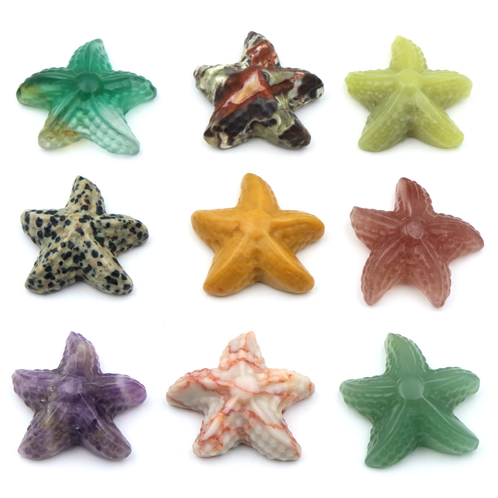 35mm Statua a forma di stella  - Marine Aquarium & Regional Centre recensione e prezzo