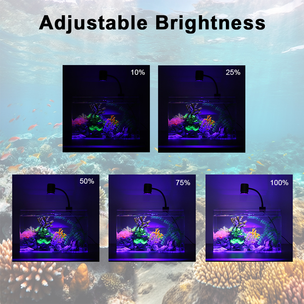 Lampada LED per Acquario a Spe - Aquarium Marine Lights recensione e prezzo