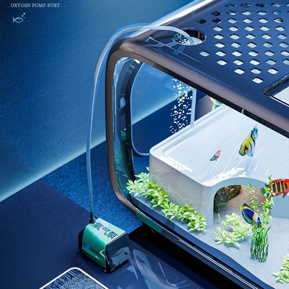 Acquario di lusso trasparente  - Marine Aquarium Hobby recensione e prezzo