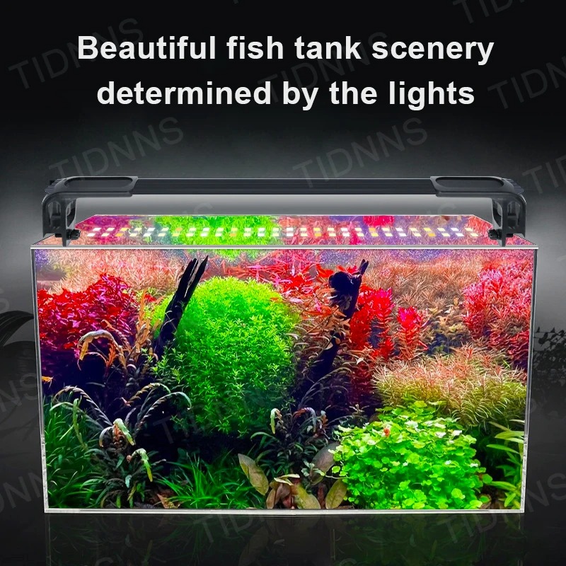 Acquario Luce Led Pianta Colti - Aquarium Marine Lights recensione e prezzo