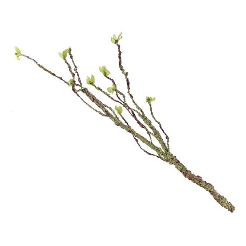 Viti Decor Rami da arrampicata - Marine Aquarium Hobby recensione e prezzo